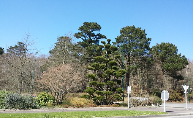 Bois de Keradennec à Quimper